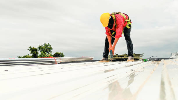 Best Green or Eco-Friendly Roofing Solutions  in Laupahoehoe, HI