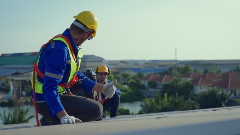 Best Skylight Installation and Repair  in Laupahoehoe, HI