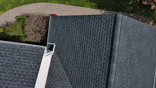 Best Roof Insulation Installation  in Laupahoehoe, HI