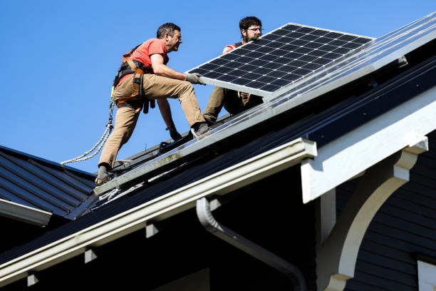 Best Storm Damage Roof Repair  in Laupahoehoe, HI
