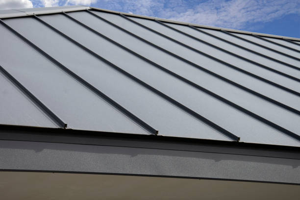 Best Slate Roofing  in Laupahoehoe, HI